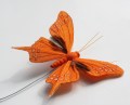 206932 Veren vlinder oranje